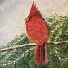 December’s Cardinal