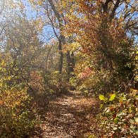 Platte River State Park 2.JPG