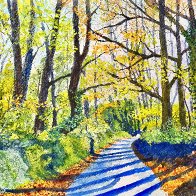 Tall Trees Long Shadows.jpg