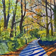 Tall Trees Long Shadows Dark.jpg