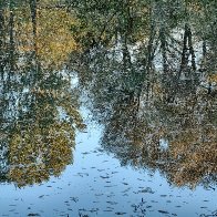 An Early Autumn Reflection.jpg