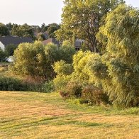 West Bay Springs 2.JPG