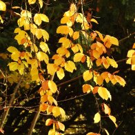 DSCN5032 resize-001.JPG