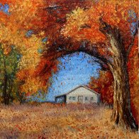 Golden Arch of Autumn.jpg