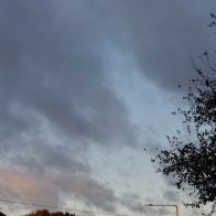 DSC_0005 9.11.46 PM.jpeg