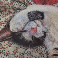 Holiday drawing 2025 6x8 colored pencil-pastel And Visions of Sugarplums Dance in Her Head.jpg