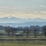 Alpenvorland bei aufsteigendem Nebel  (Alpine foothills with rising fog)