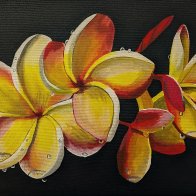 Aloha Spirit 11x14 $145.jpg