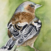 chaffinch.jpeg