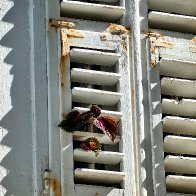 Gimme More Light.jpg