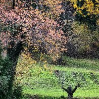 Oh Never Mind That-It's Halloween.jpg