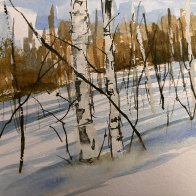 Tangles of Birch.JPG