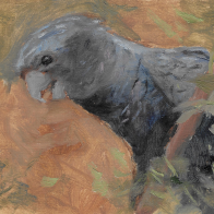 Scan_20251020 (6).png