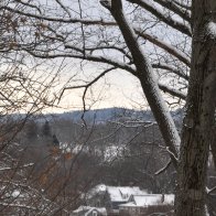 _DSC0038 4.34.33 PM.jpeg