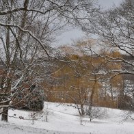 _DSC0039 4.34.33 PM.jpeg