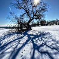 winterrhön6 Kopie 2.jpg