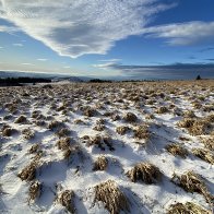 IMG_5025 Kopie 2.jpeg