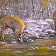 20260103_081112 (2).jpgjjjkkk.jpg