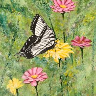 IMG_20251205_124323 (1).jpg