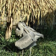 Them Damn Feathers.jpg