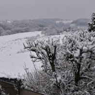 snow-samstag-1-DSC_0438-1920X960.jpg