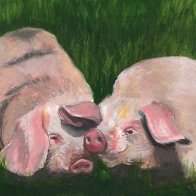 2026 Gl&uuml;cksschweinchen.jpg