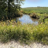 Elkhorn Backwaters 2.JPG