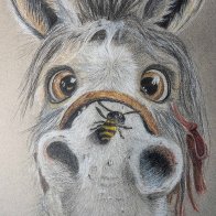 Paard met wesp klein.jpg