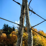 Rural Electricity.jpg