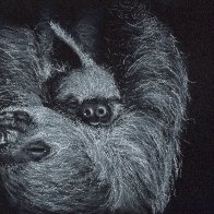 Slovenly Sloths-s.JPG