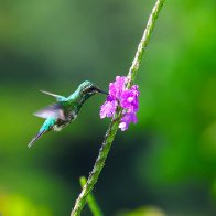 upload to drive (4).JPG