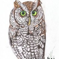 Untitled design-3.jpg