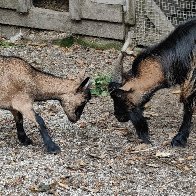 Sparring Partners.jpg