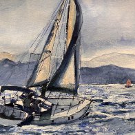 catching the breeze.JPG