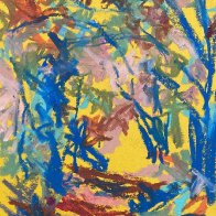 A Walk in Steve's woods.jpeg