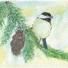 Chickadee Final small file size