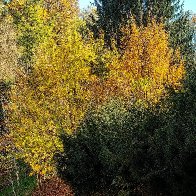 On A Sunny Autumn Day.jpg