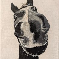 Schnozz 8x10 $28.jpg