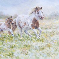 horses dashing through daisies low.jpg