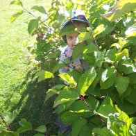 Lurking in the shadows.jpg