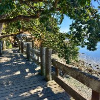 IMG_8914_framed (1).jpg