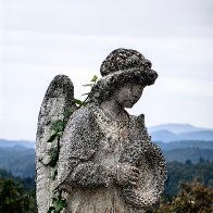 The Green Embrace (Prem, Slovenia).jpg