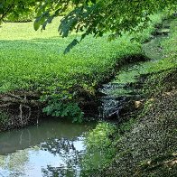 Creek Running Through The Arboretum.jpg