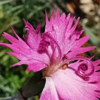 You Remind Me Of Someone.jpg