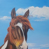 horse cloud study 2.jpg