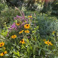 Arlene&rsquo;s Photos Flower bed.JPG