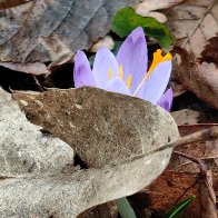 Might Be A Little Shy.jpg