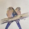 Again That Dove Couple