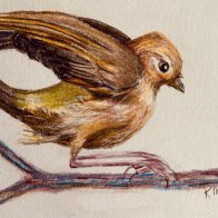 Burnished and blended colored pencil.jpeg