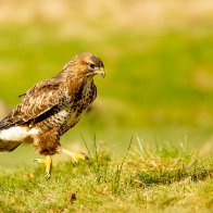 Walking in the Air.jpg